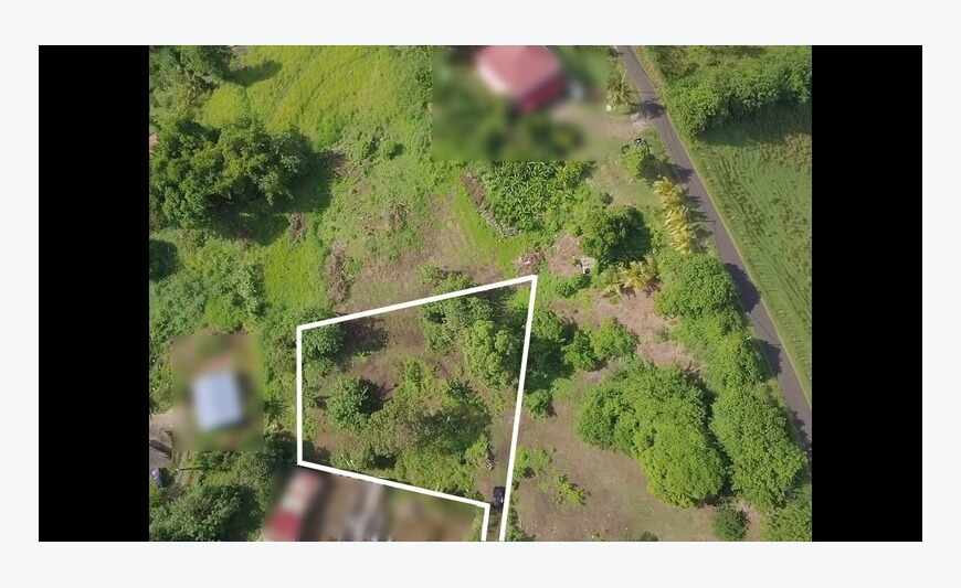 Vauclin - Terrain 2135m2 Constructible -