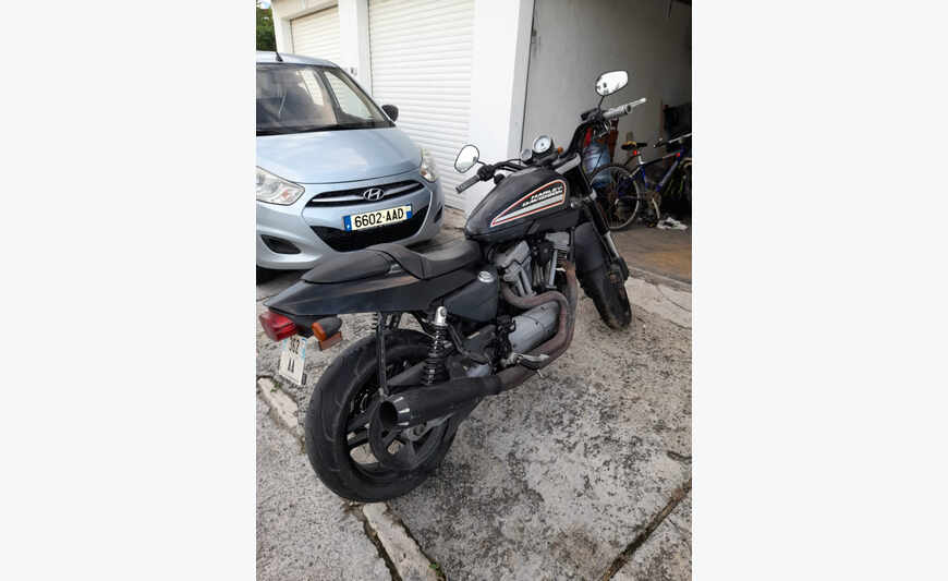 HARLEY 1200XR