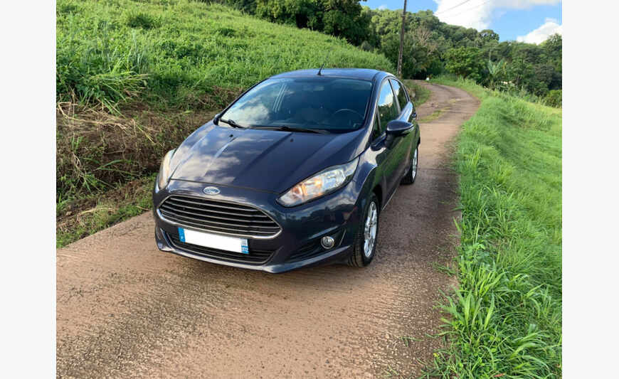 FORD FIESTA ECOBOOST 100CV 21 000KM REVISE