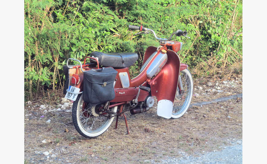 Motobecane AV89 grenat chaudron collector