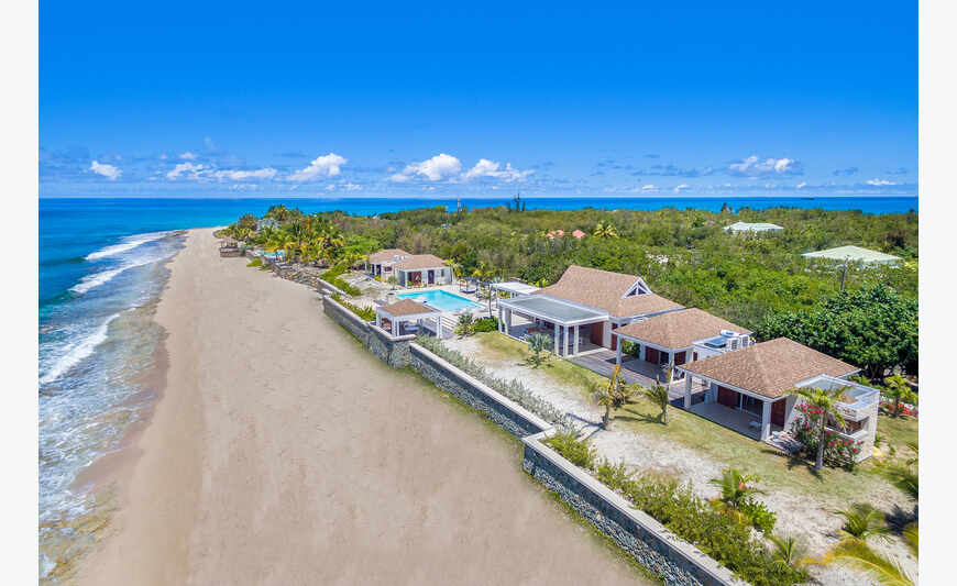 Turtle Nest