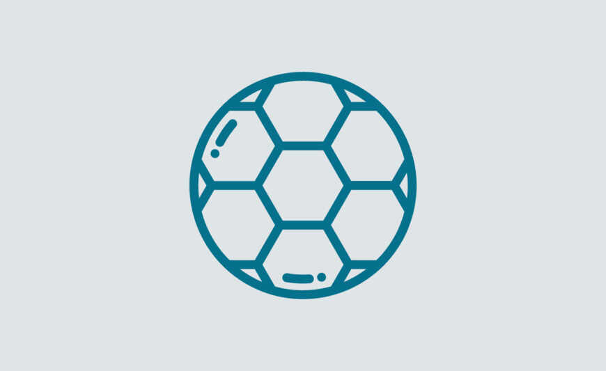 Educateur sportif / Educatrice sportive
