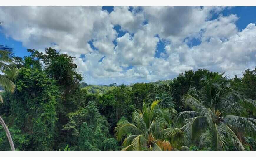 T3 duplex en Rdc