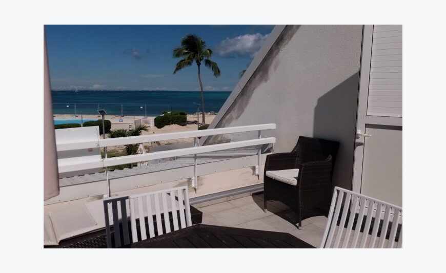 on Bay nettle terraced house + studio