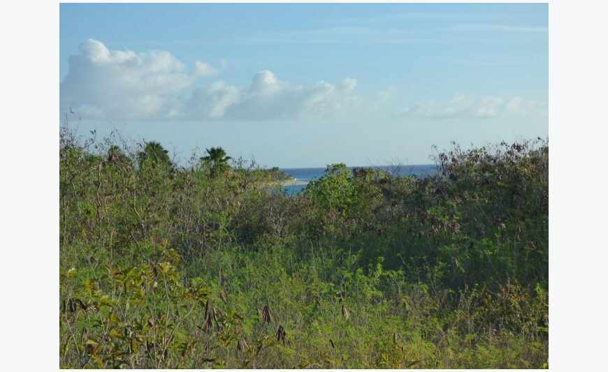 A Terres basses: terrain vue mer à 300m...