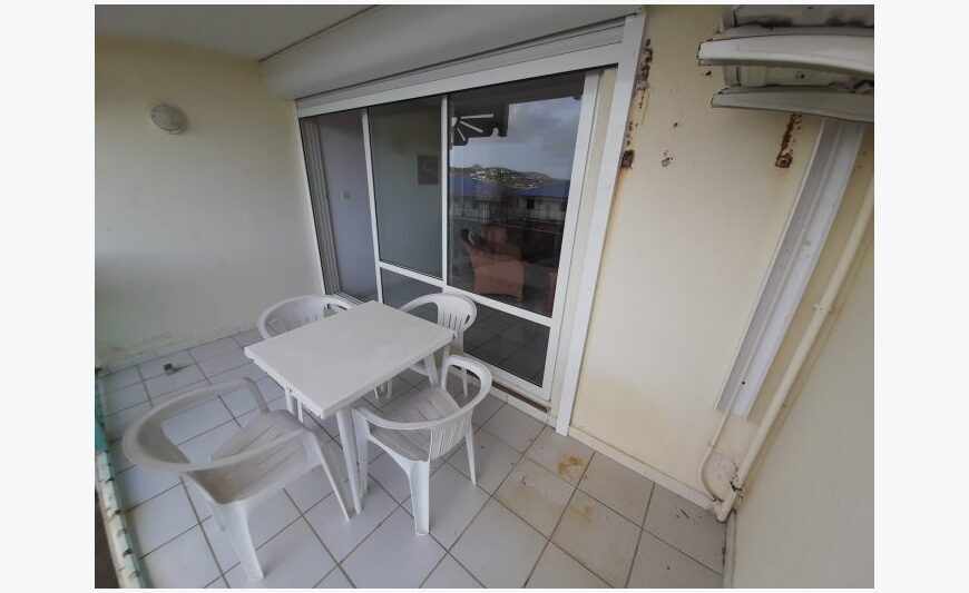 Mount Vernon: furnished terrace studio equipped