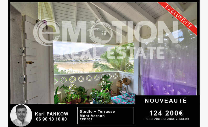 Studio with Terrace - Mont Vernon