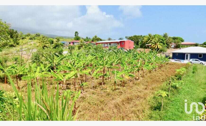Terrain 1 000 m²