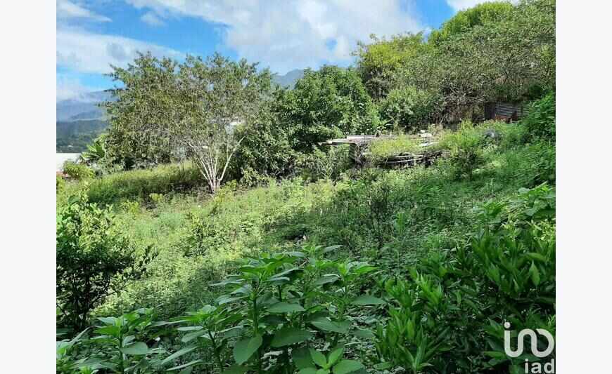 Terrain 1 000 m²