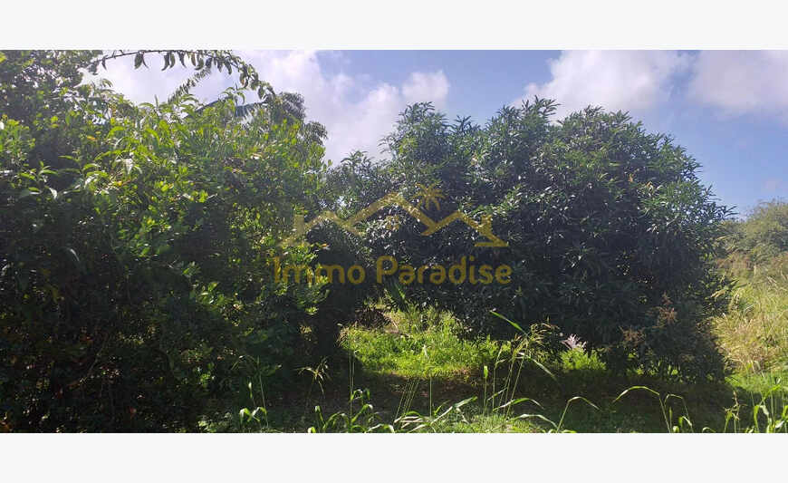 Terrain constructible St François