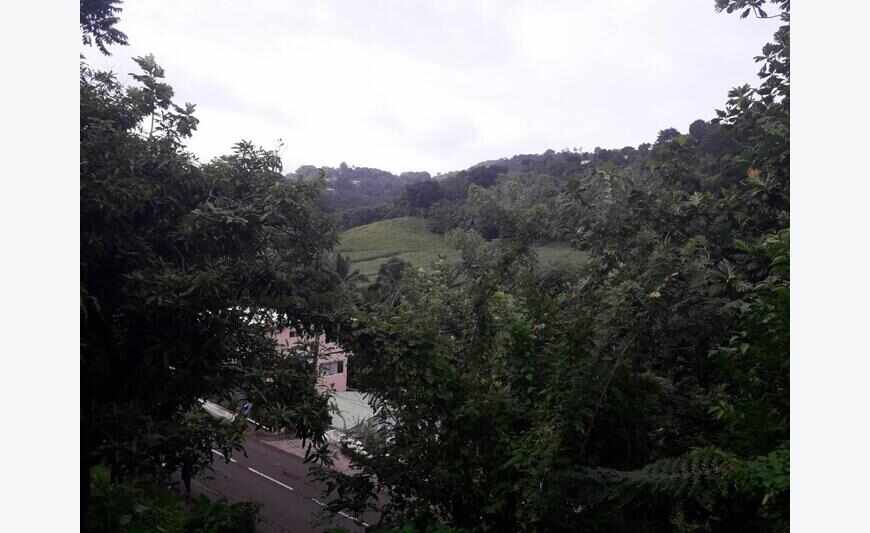 Terrain de 2406m2 à Rivière-Pilote