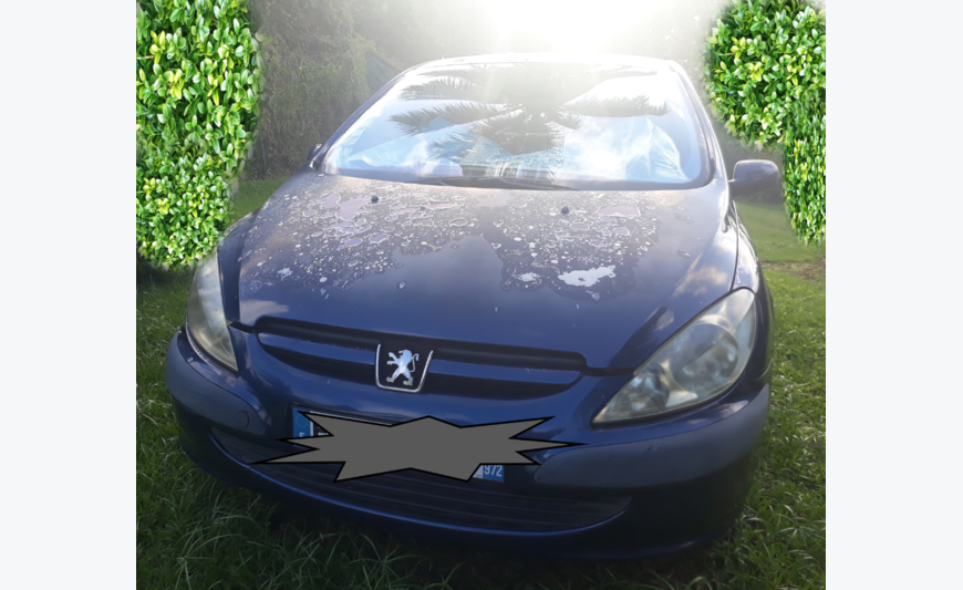 PEUGEOT 307 1.3 16V