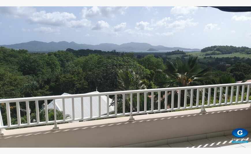 Appartement - Ducos - 4 pièces