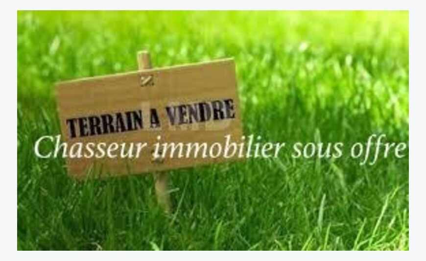 Le Vauclin terrain 2 Hectares