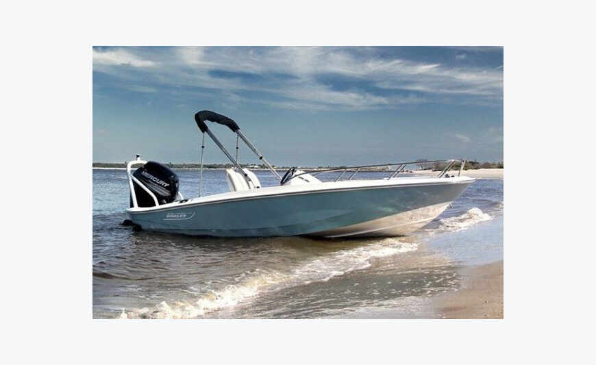 Boston Whaler 160 SuperSport *NEUF*