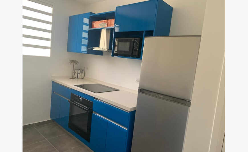 Bel appartement T2 bis - Anse à l'âne -...