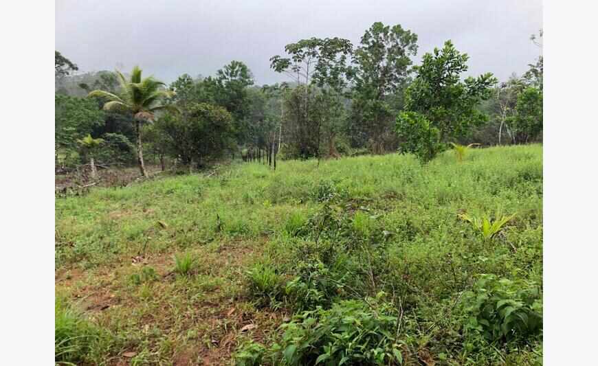 Terrain Agricole 10 798M2 Risquetout...