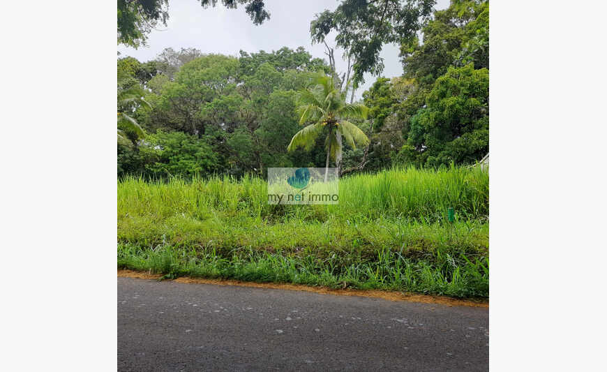 SAINTE-ROSE- BEAU TERRAIN PLAT DE 550 m²