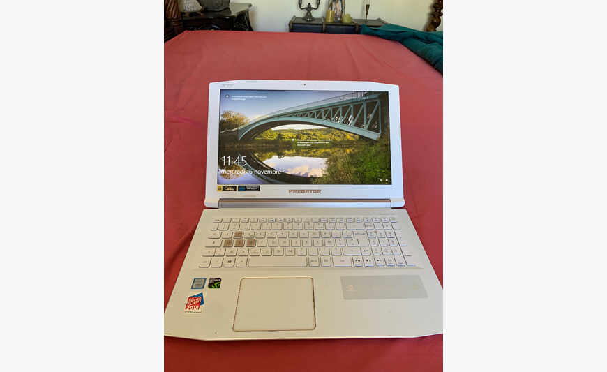 PC Acer Predator Hélios 300 Spécial Gamer