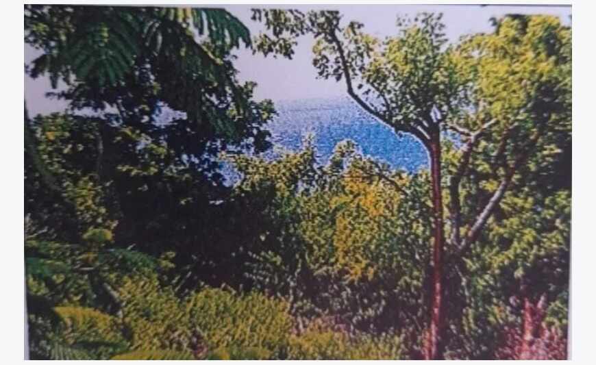 terrain aux saintes