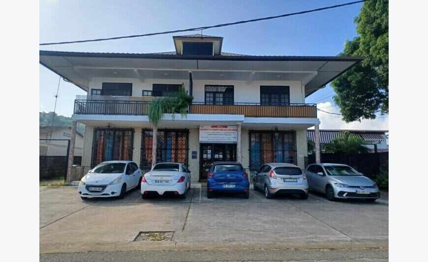 Local Professionnel Rdc Montabo...