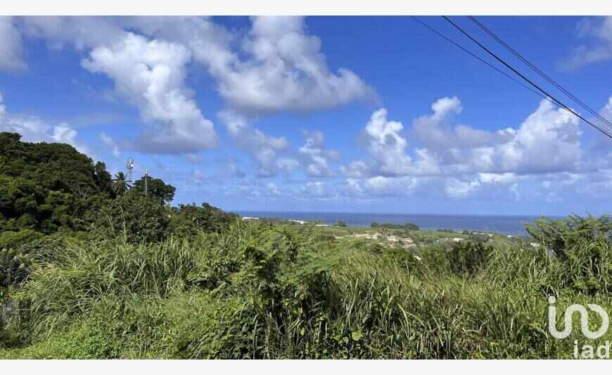Terrain 800 m²