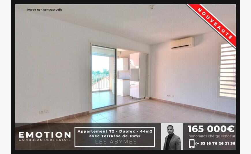 Appartement T2 - Duplex de 44m2 avec...