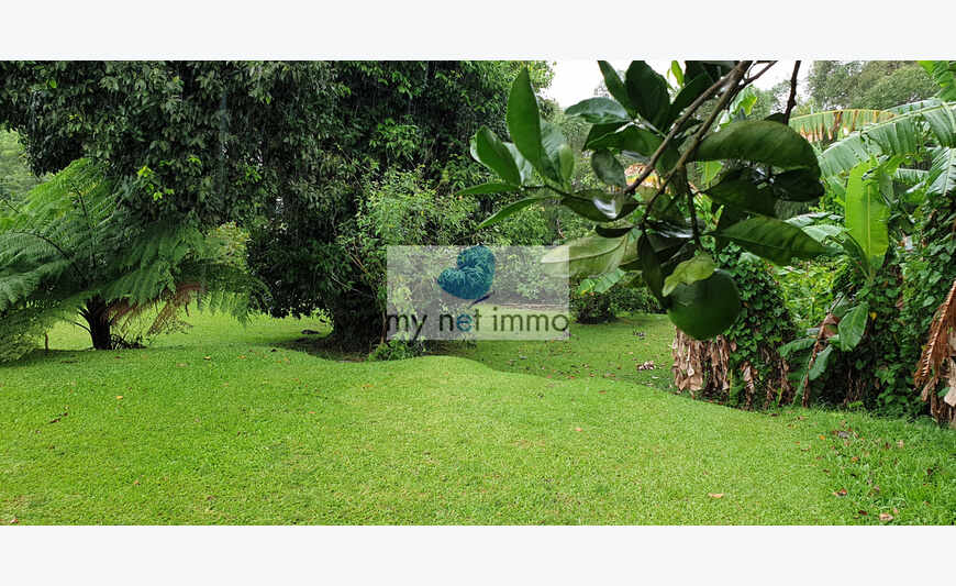 MARTINIQUE Terrain plat 722 m²