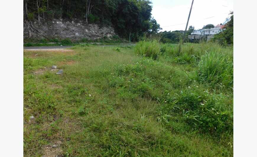 terrain constructible