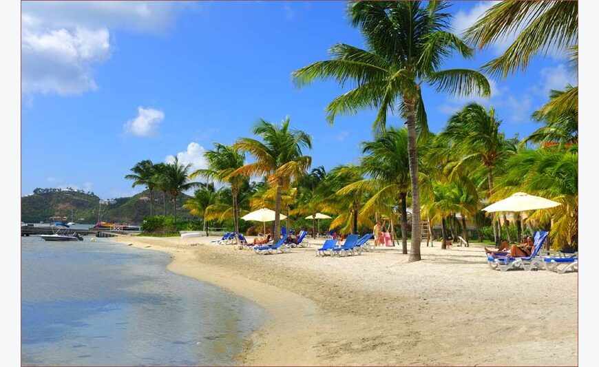 Baie Nettle: Grand 2 pièces au Flamboyant