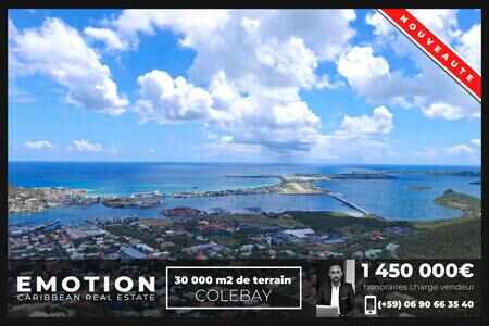 Cole Bay - 30 000 m2 + projet