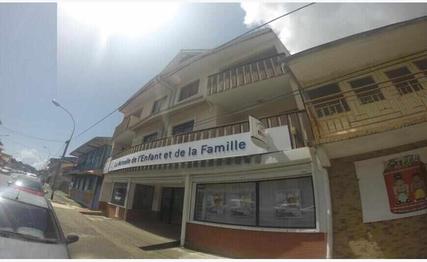 Cayenne : grand studio dernier étage vue mer