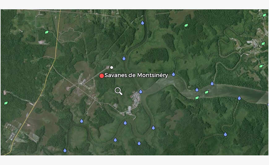 Terrain dans les Savanes de Montsinéry