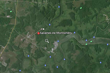 Trabalho de campo nas savanas de Montsinéry