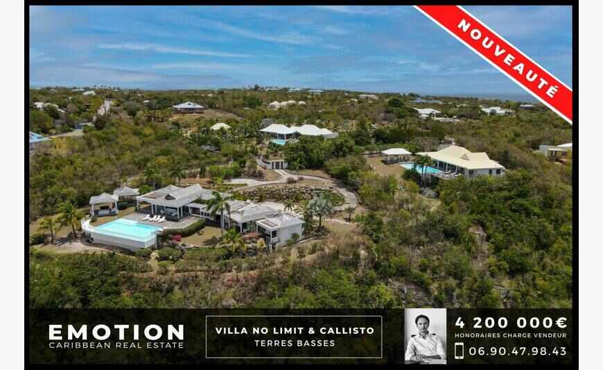 Propriété de 2 villas vue mer aux Terres Basses