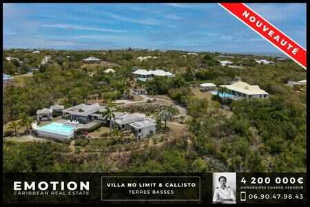 Property of 2 villas with sea view in Terres Basses