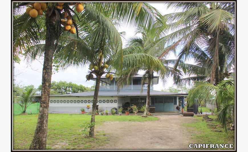 A Kourou Au Pk9 (Guyane Francaise) Une...
