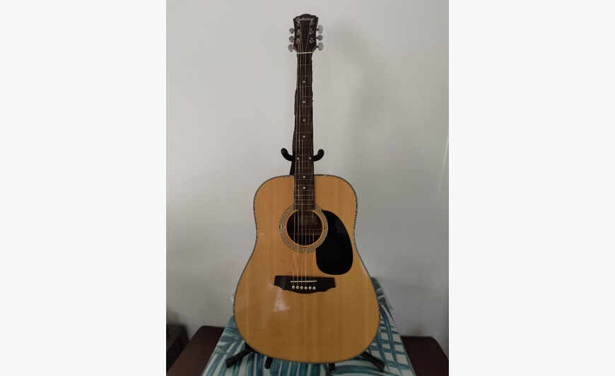 Ensemble Guitare semi-acoustique