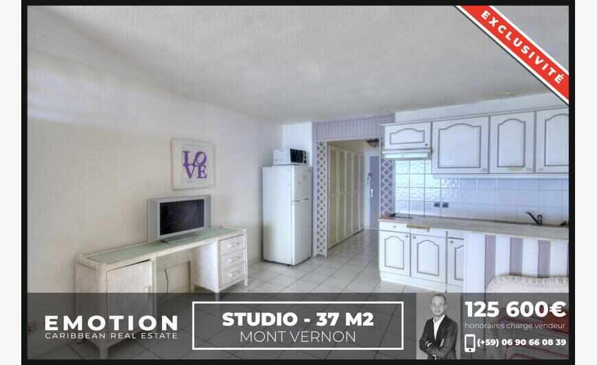 Apartment 37 m2, Mont Vernon Hotel
