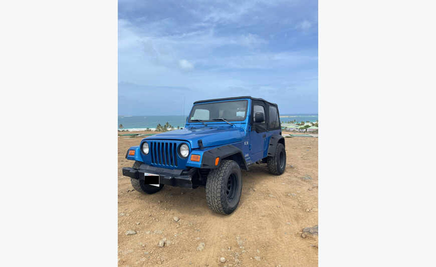 Jeep Wrangler TJ 2003 4,0L