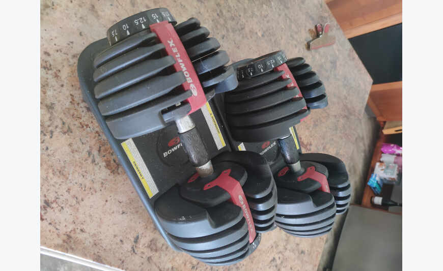 Bowflex Dumbbells - Gym Weight