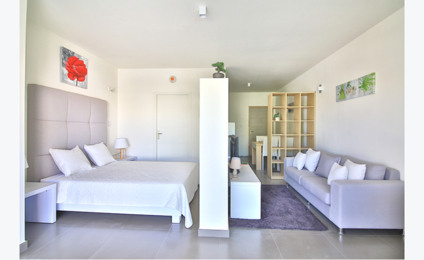Semi-1 bedroom excellent rental ratio