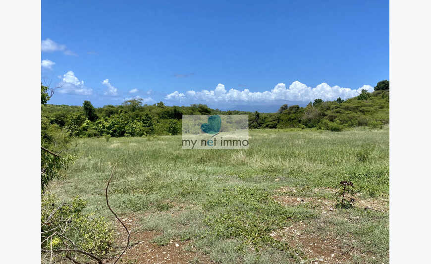 TERRAIN VUE MONTAGNE LOTISSEMENT VIABILISE (Lot 15)