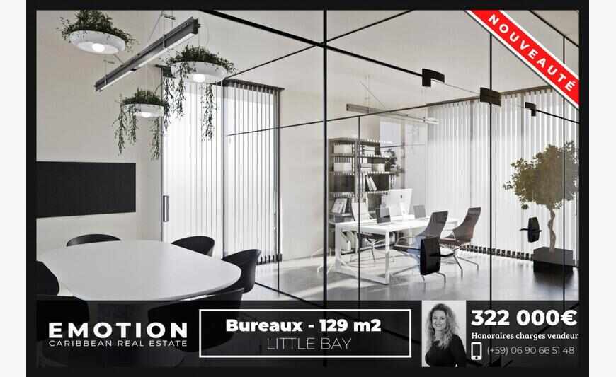 Bureaux de 129 m2 - Little Bay