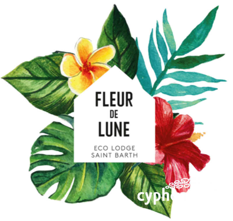 Gouvernante/femme de chambre Offre Emploi Saint Barthélemy • Cyphoma