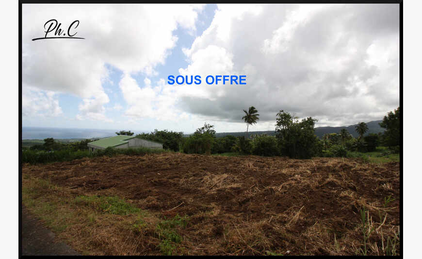 Terrain Constructible Basse Pointe