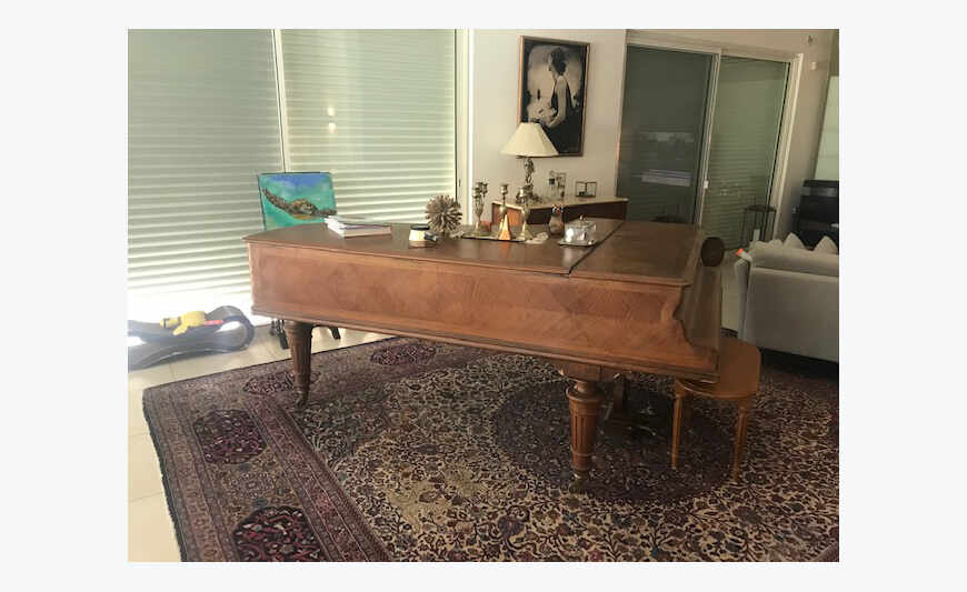 Gratis decoratieve antieke piano buiten bestelling (Irma)