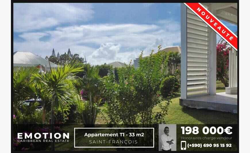 Appartement T1 - 33 M2