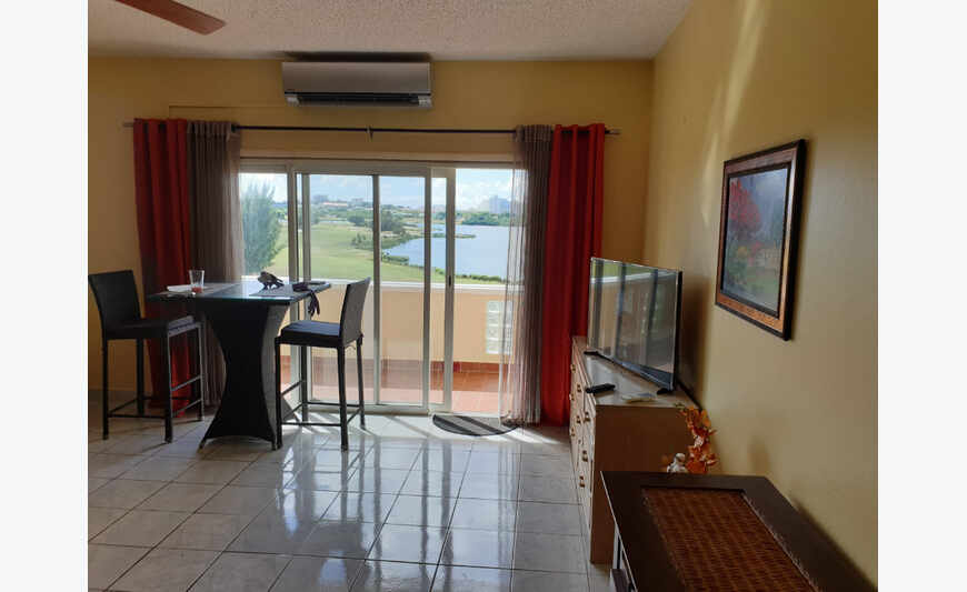Condo spacieux et entièrement meublé de 1 lit/1 salle de bain