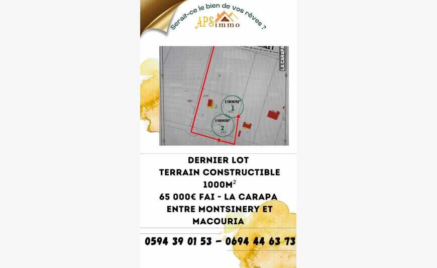 Terrain à bâtir 1 000 m2 a la Carapa -...